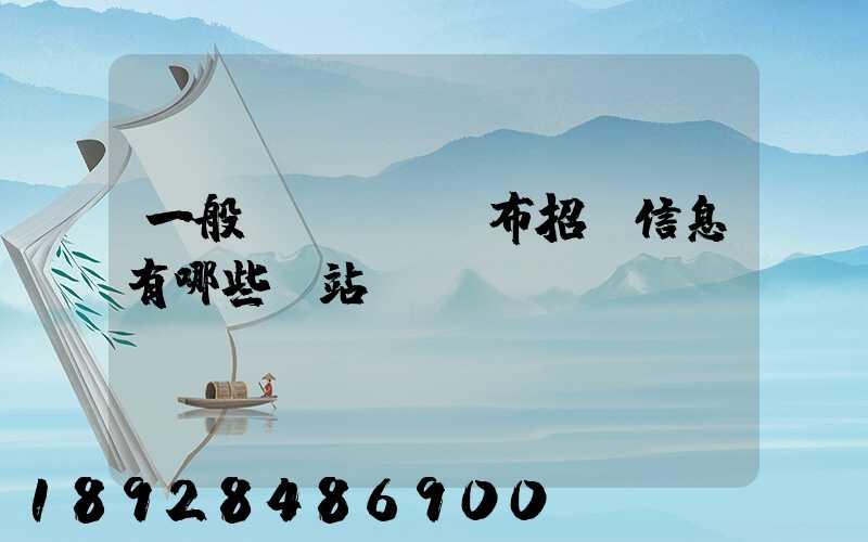 一般發(fā)布招標信息有哪些網站
