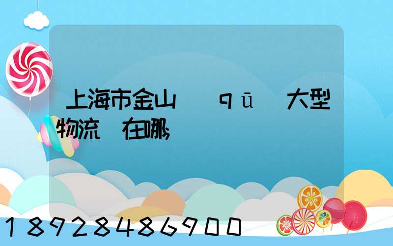 上海市金山區(qū)大型物流園在哪