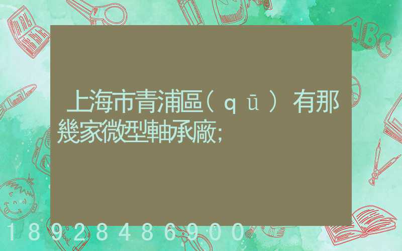 上海市青浦區(qū)有那幾家微型軸承廠