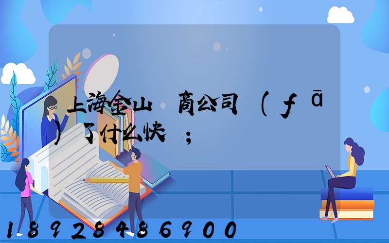 上海金山電商公司發(fā)了什么快遞