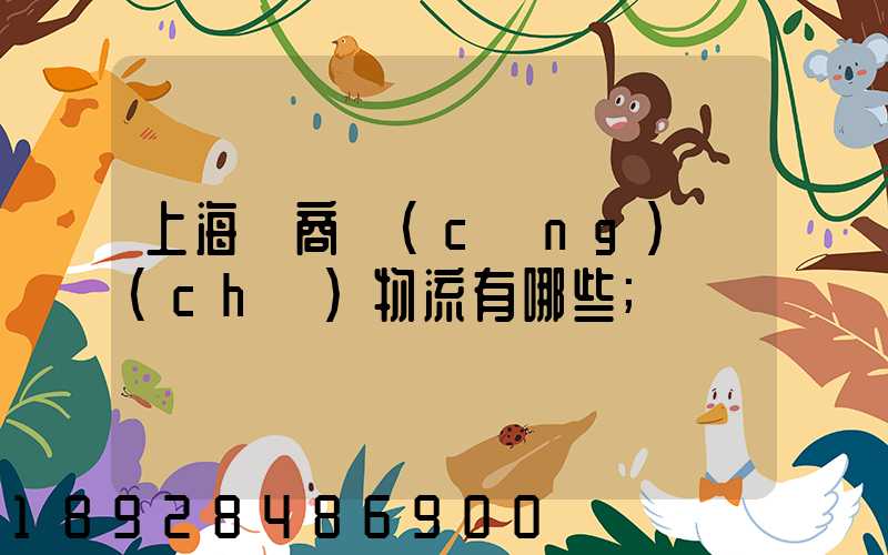 上海電商倉(cāng)儲(chǔ)物流有哪些