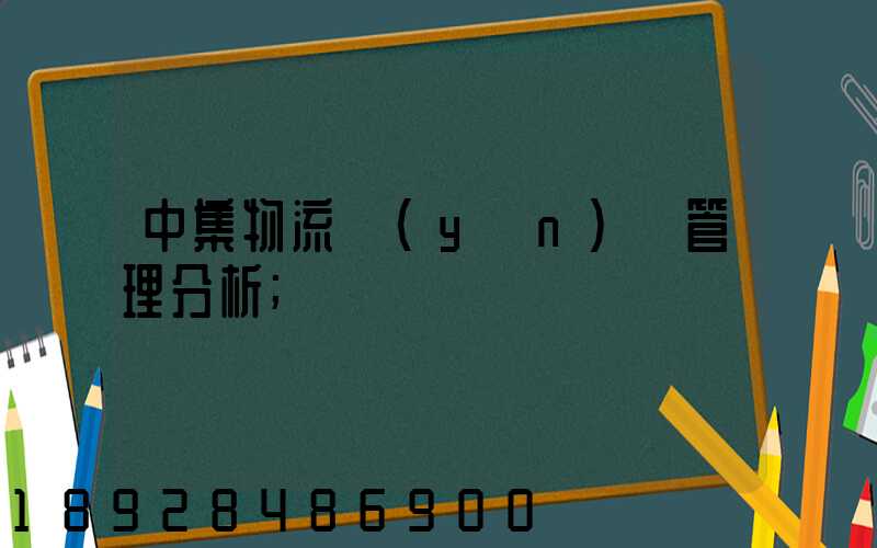 中集物流運(yùn)輸管理分析