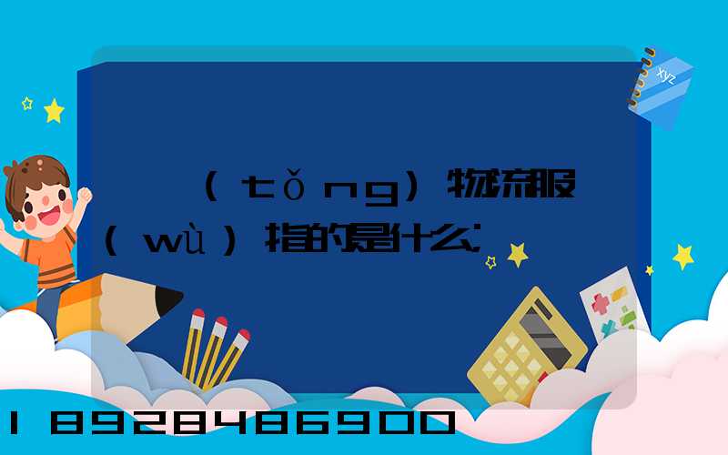 傳統(tǒng)物流服務(wù)指的是什么