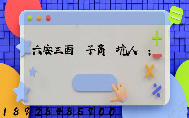 六安三酉電子商務坑人嗎