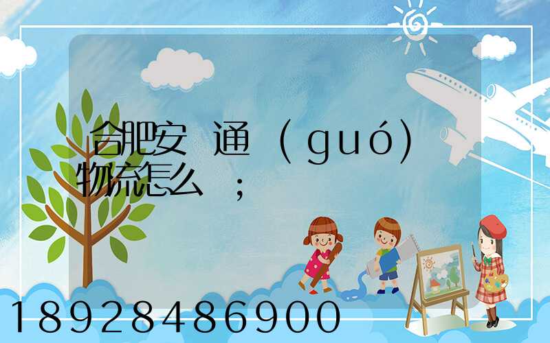合肥安順通國(guó)際物流怎么樣