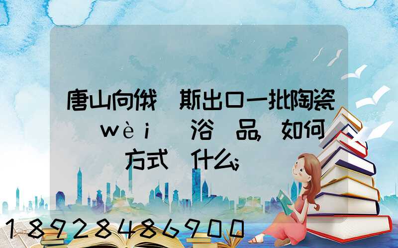 唐山向俄羅斯出口一批陶瓷衛(wèi)浴產品,如何選擇運輸方式為什么
