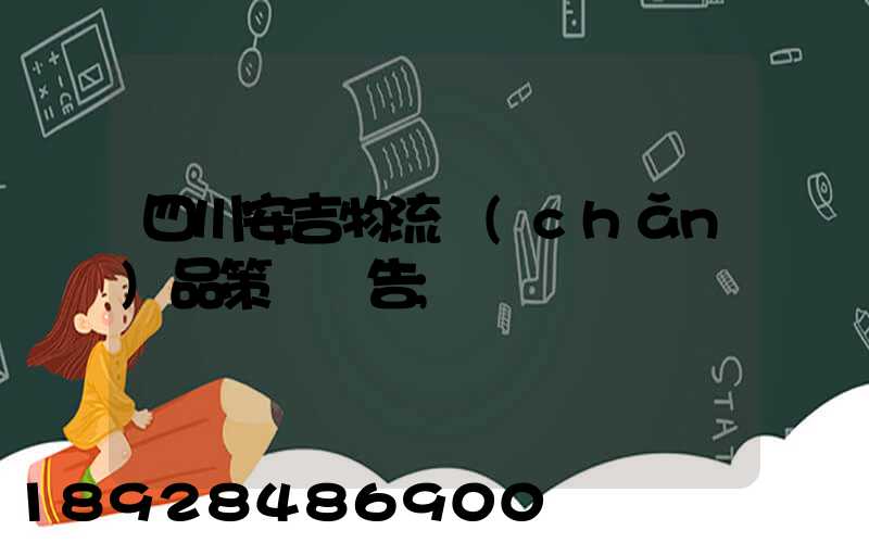 四川安吉物流產(chǎn)品策劃報告