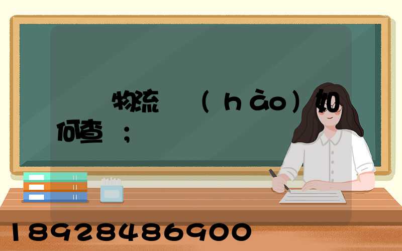 國際物流單號(hào)如何查詢