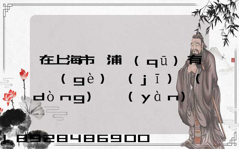 在上海市楊浦區(qū)有幾個(gè)機(jī)動(dòng)車驗(yàn)車點(diǎn)