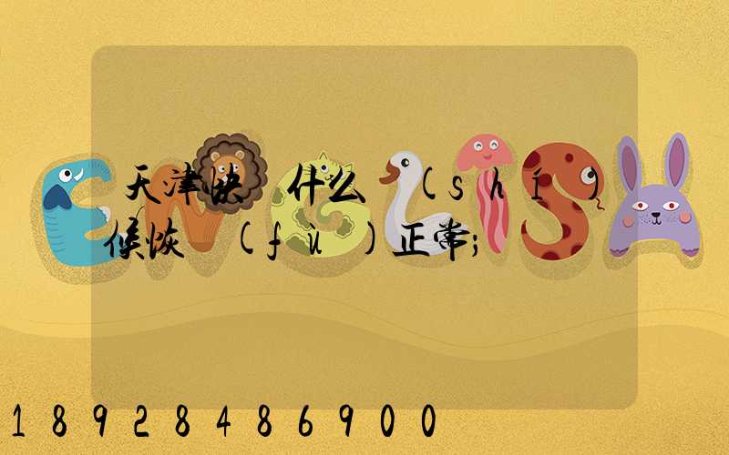 天津快遞什么時(shí)候恢復(fù)正常