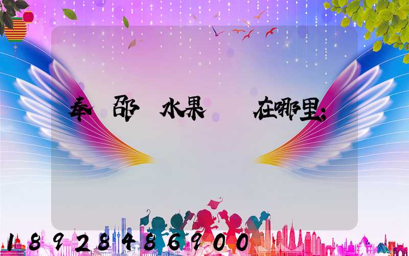 奉賢邵廠水果倉庫在哪里