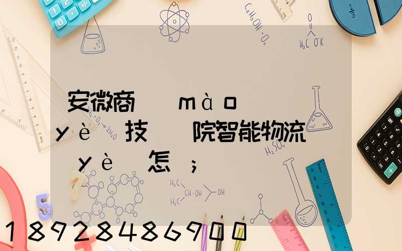 安微商貿(mào)職業(yè)技術學院智能物流專業(yè)怎樣