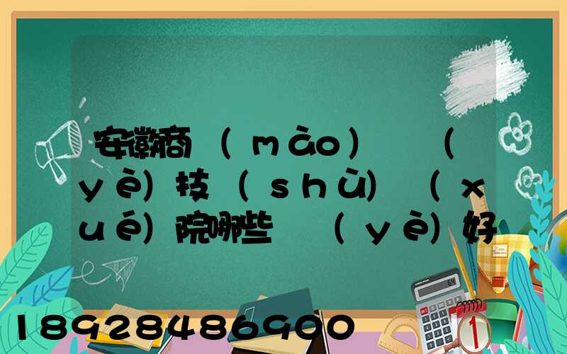 安徽商貿(mào)職業(yè)技術(shù)學(xué)院哪些專業(yè)好
