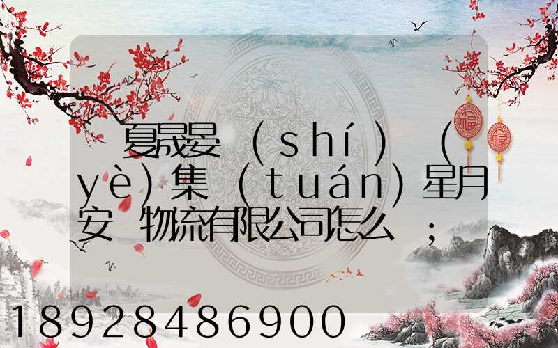 寧夏晟晏實(shí)業(yè)集團(tuán)星月安順物流有限公司怎么樣
