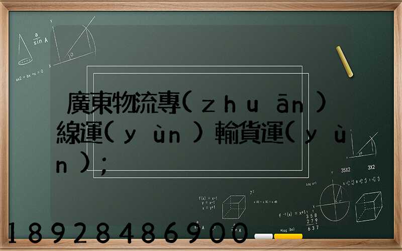 廣東物流專(zhuān)線運(yùn)輸貨運(yùn)