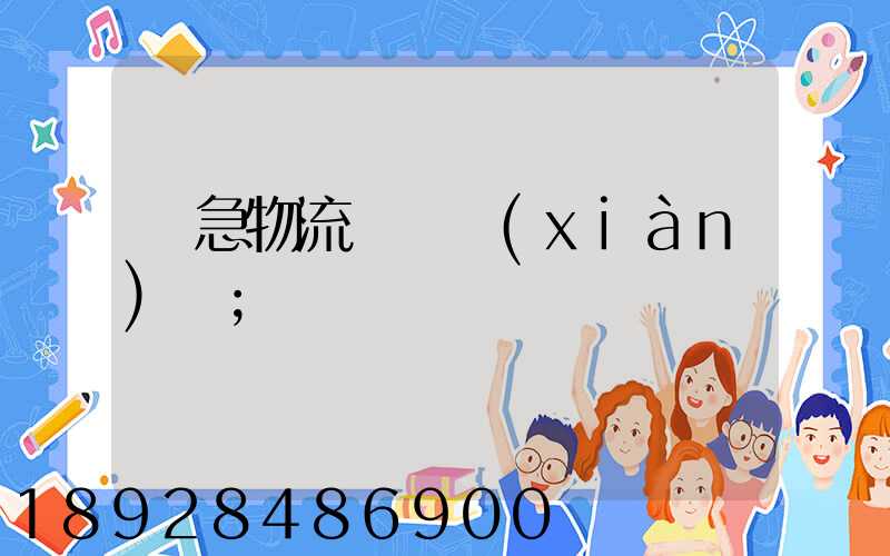 應急物流運輸現(xiàn)狀