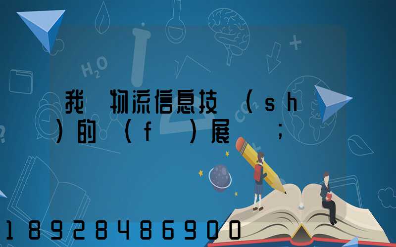 我國物流信息技術(shù)的發(fā)展趨勢