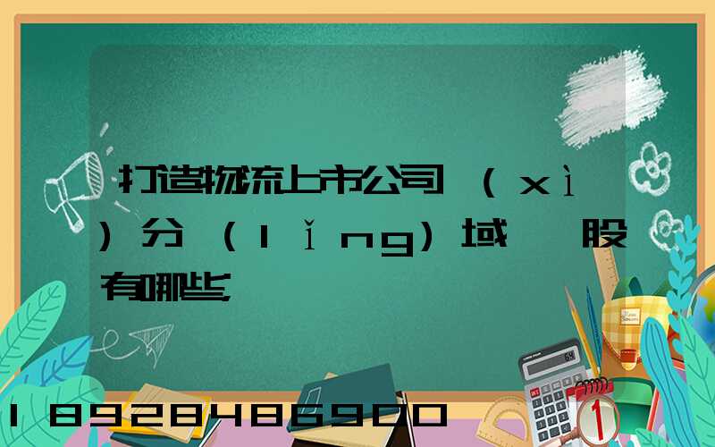 打造物流上市公司細(xì)分領(lǐng)域龍頭股有哪些