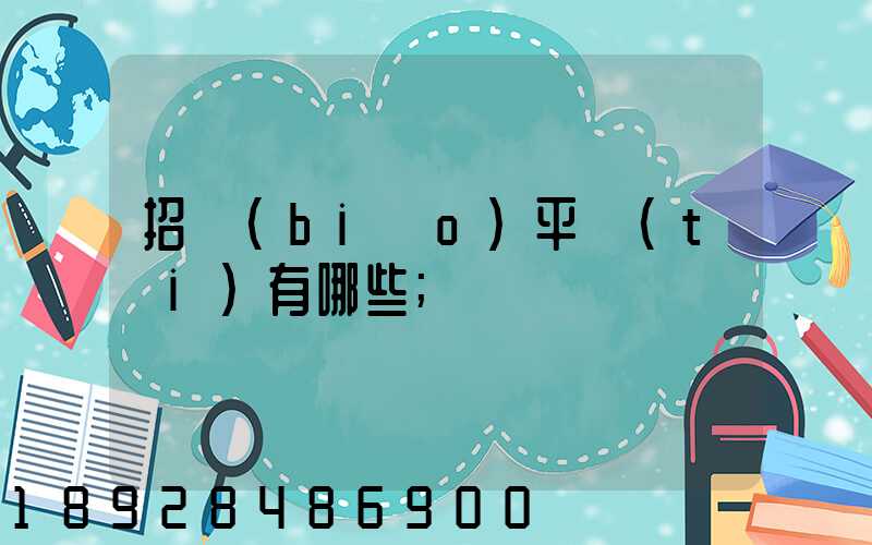 招標(biāo)平臺(tái)有哪些