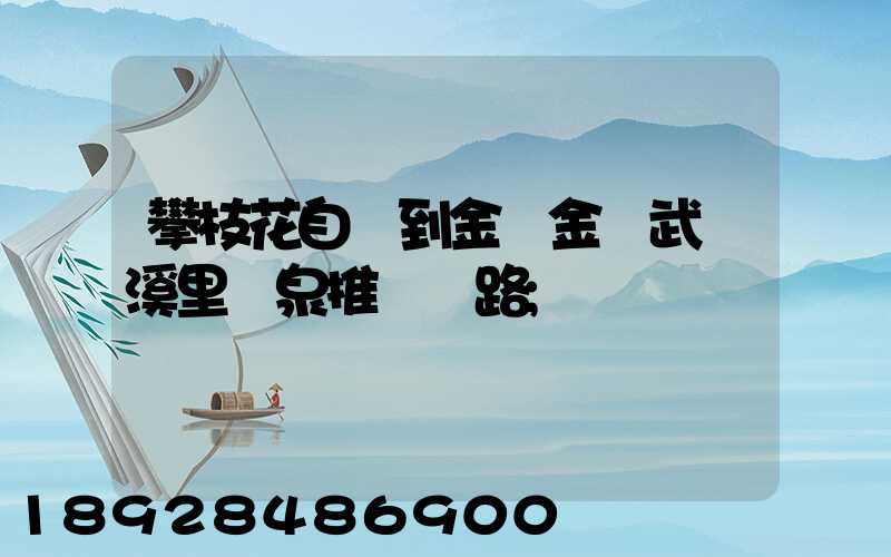 攀枝花自駕到金華金華武義溪里溫泉推薦線路