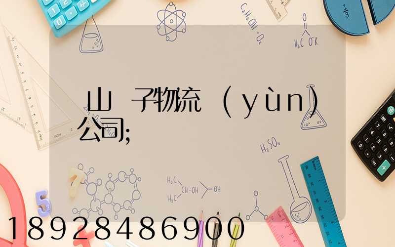 樂山電子物流運(yùn)輸公司
