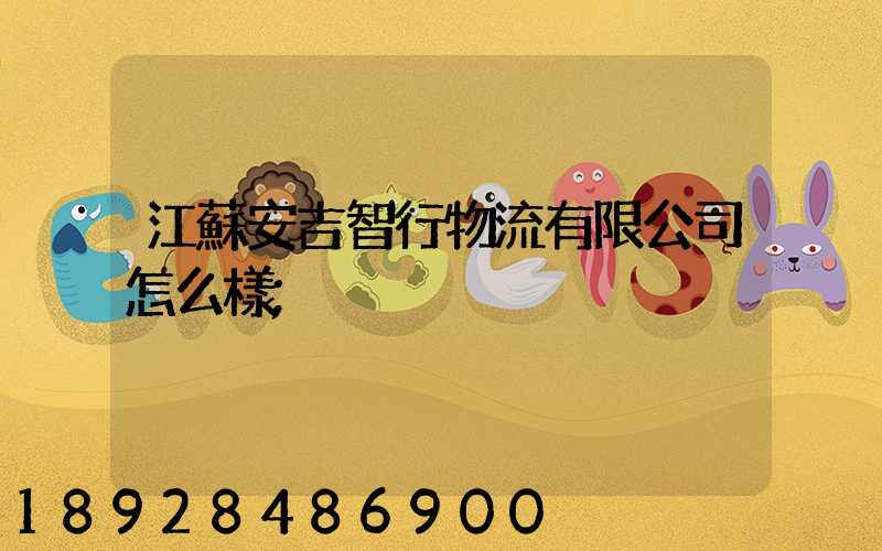 江蘇安吉智行物流有限公司怎么樣