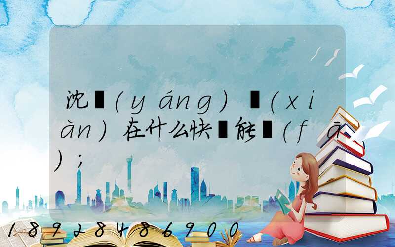 沈陽(yáng)現(xiàn)在什么快遞能發(fā)
