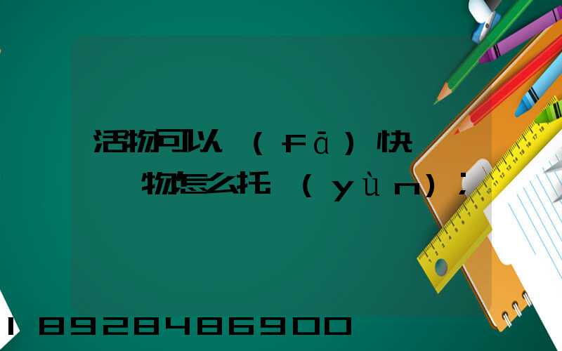 活物可以發(fā)快遞嗎,寵物怎么托運(yùn)