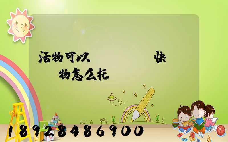 活物可以發(fā)快遞嗎,寵物怎么托運