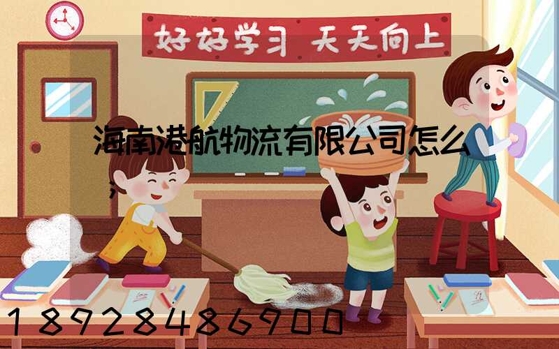 海南港航物流有限公司怎么樣