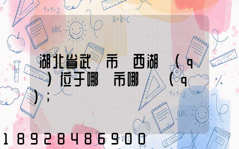 湖北省武漢市東西湖區(qū)位于哪個市哪個區(qū)