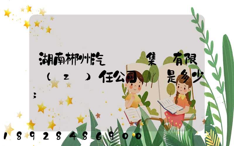 湖南郴州汽車運輸集團有限責(zé)任公司電話是多少