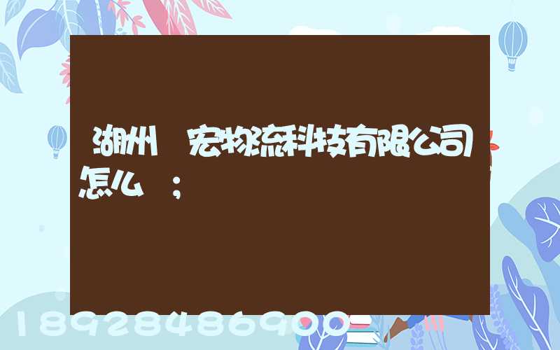 湖州賽宏物流科技有限公司怎么樣