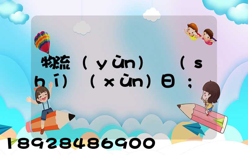 物流運(yùn)輸實(shí)訓(xùn)日劇