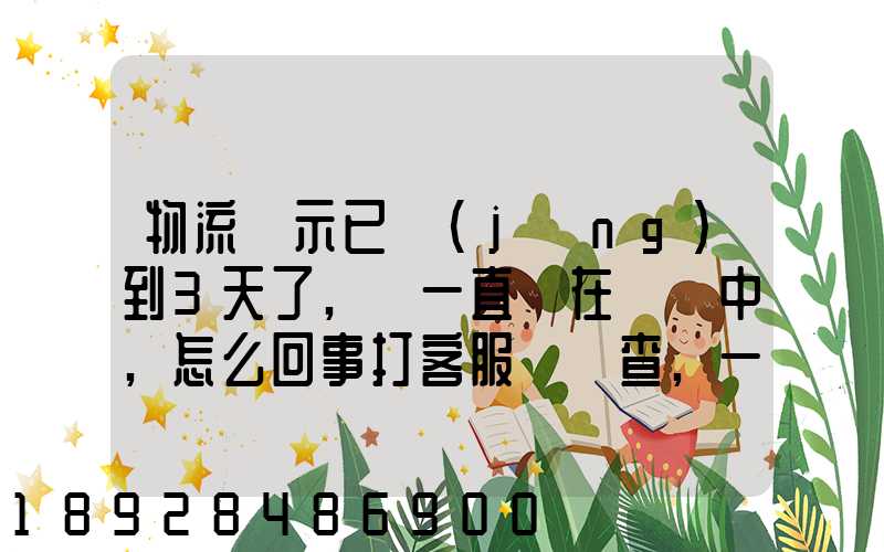 物流顯示已經(jīng)到3天了,卻一直還在運輸中,怎么回事打客服電話查,一直...