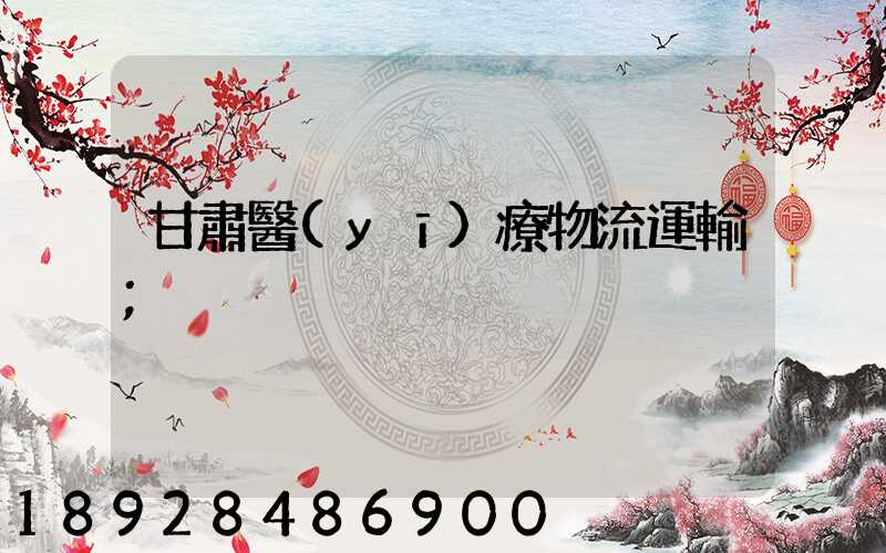 甘肅醫(yī)療物流運輸