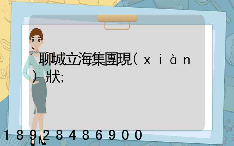 聊城立海集團現(xiàn)狀