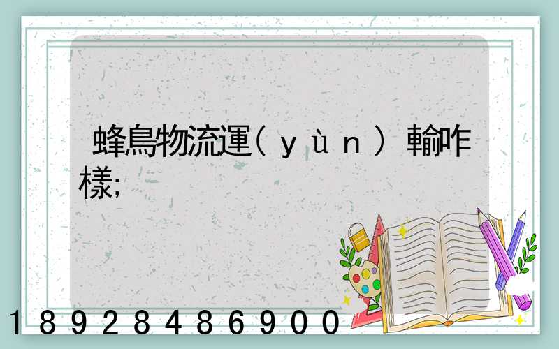 蜂鳥物流運(yùn)輸咋樣