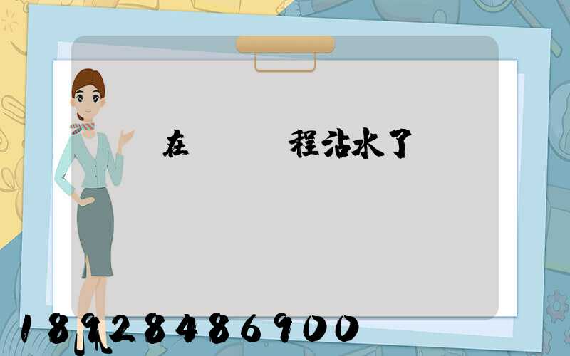 貓糧在運輸過程沾水了