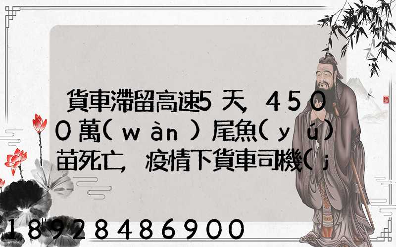 貨車滯留高速5天,4500萬(wàn)尾魚(yú)苗死亡,疫情下貨車司機(jī)有多不易