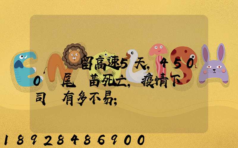 貨車滯留高速5天,4500萬尾魚苗死亡,疫情下貨車司機有多不易