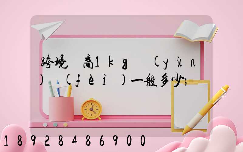 跨境電商1kg運(yùn)費(fèi)一般多少
