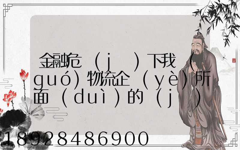 金融危機(jī)下我國(guó)物流企業(yè)所面對(duì)的機(jī)遇和挑戰(zhàn)